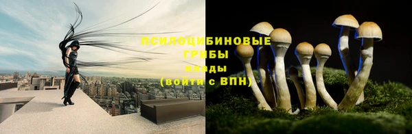 наркотики Дмитриев