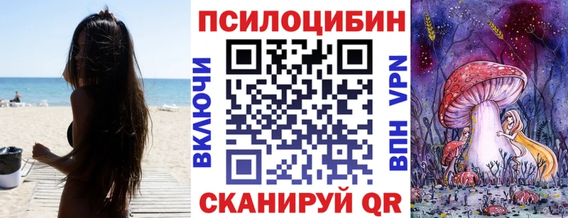 Купить закладки  Карасук  Псилоцибиновые грибы MAGIC MUSHROOMS 